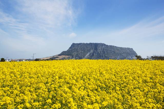 기사 내용 이해를 돕기 위한 자료사진. 이미지투데이