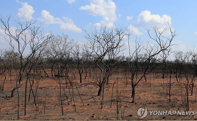 볼리비아 아마존 화재 피해 지역 [EPA 연합뉴스 자료사진. 재판매 및 DB 금지]