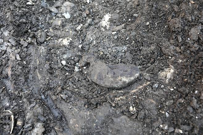 김해 봉황동 유적 출토 새 모양 목제품 출토 모습 [국가유산청 제공. 재판매 및 DB 금지]