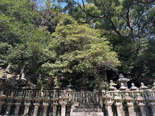 viewimage.php?id=23b2db27ebc637&no=24b0d769e1d32ca73de885fa1bd62531058478fac3157bc024e4bab4a06670d65ba3f90a5cc8804e56f1d2821e15fe165308e1eca210e5d4ea53dab13743aa2c6b55c3