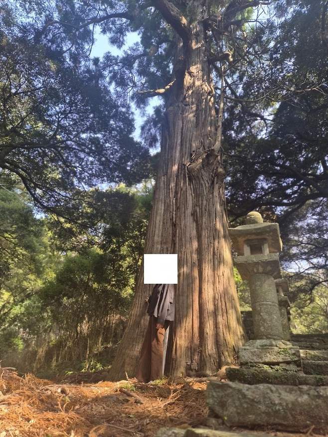 viewimage.php?id=23b2db27ebc637&no=24b0d769e1d32ca73de885fa1bd62531058478fac3157bc024e4bab4a06670d65ba3f90a5cc8804e56f1d2821e15fe165308e1eca210e583b9508de16616f92c312465