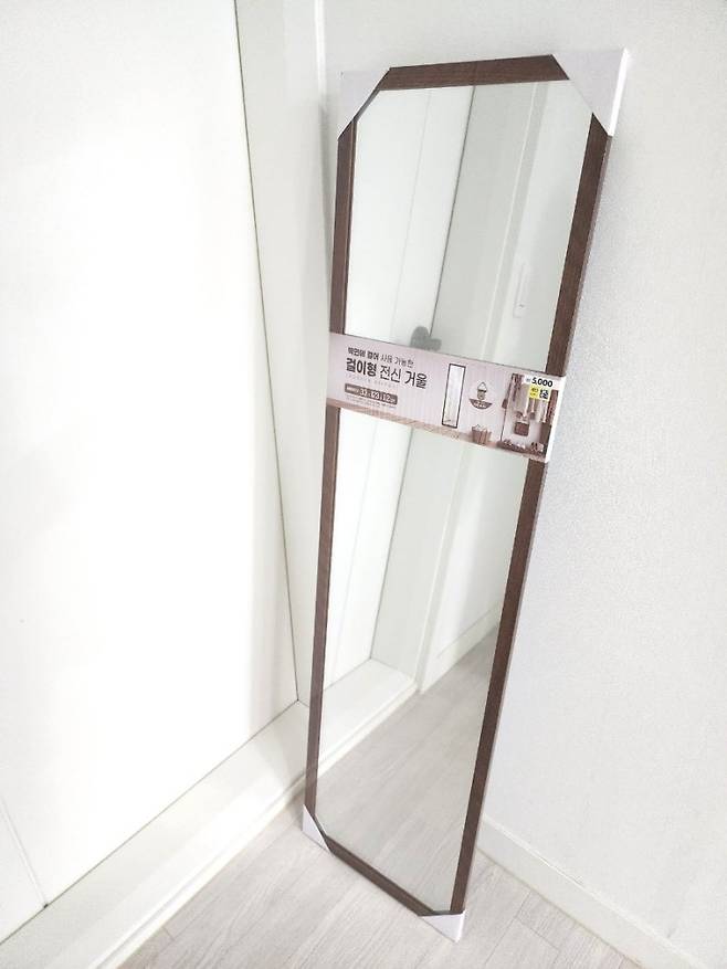 다이소 전신 거울 가격