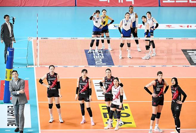 현대건설(위)과 정관장이 25일부터 3전 2승제의 플레이오프를 치른다. KOVO 제공