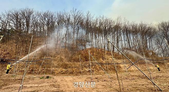 경북 안동시 길안면 백자리에서 25일 오후 소방대원들이 마을로 접근하는 산불을 진화하고 있다. 백경열 기자