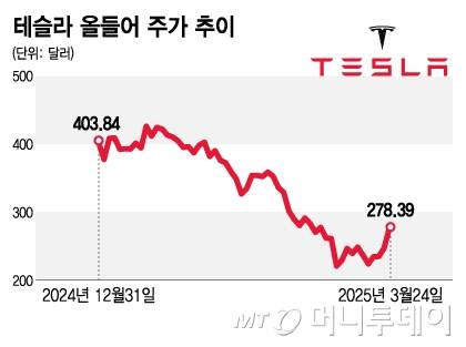 테슬라 올들어 주가 추이/그래픽=김지영