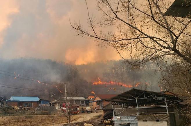 [안동=뉴시스] 경북 의성군 산불 발생 사흘째인 24일 안평에서 발생한 산불이 안동시 길안면 백자리 한 야산으로 번지고 있다. (사진=독자 제공) 2025.03.24. photo@newsis.com *재판매 및 DB 금지