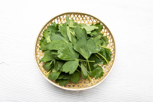 방풍나물. 이미지투데이