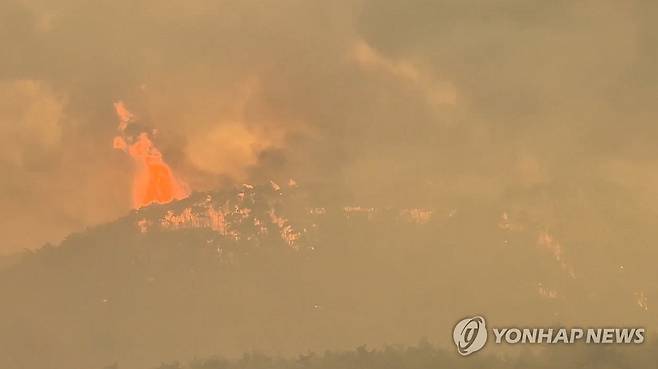 치솟는 의성산불 불기둥 (의성=연합뉴스) 24일 오후 경북 의성군 점곡면 청송군과의 경계지에 있는 야산에서 화염이 치솟고 있다. 산림당국 관계자는 "육안상 6m 높이 불기둥으로 헬기가 접근하기 어렵다"라고 말했다. 2025.3.24 [독자 제공, 재판매 및 DB 금지] sunhyung@yna.co.kr