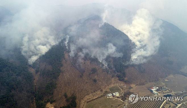 안동으로 번진 산불 (안동=연합뉴스) 김도훈 기자 = 경북 의성에서 시작된 산불이 안동으로 번진 가운데 25일 오전 경북 안동시 길안면 백자리 일대 야산에서 연기가 피어오르고 있다. 2025.3.25 superdoo82@yna.co.kr