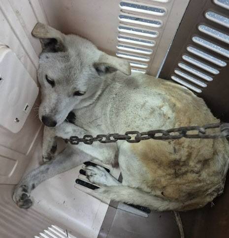 사진='유엄빠' 공식 인스타그램