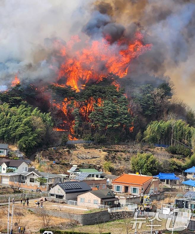 25일 울산 울주군 언양읍 화장산에서 불이 나 불길이 민가까지 접근하고 있다. (독자 제공. 재판매 및 DB 금지) 2025.3.25/뉴스1 ⓒ News1