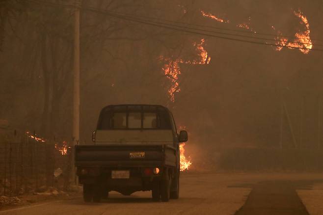 25일 오후 경북 안동시 길안면 백자리에 강풍이 불어 주변 산이 화염에 휩싸인 모습. /뉴스1