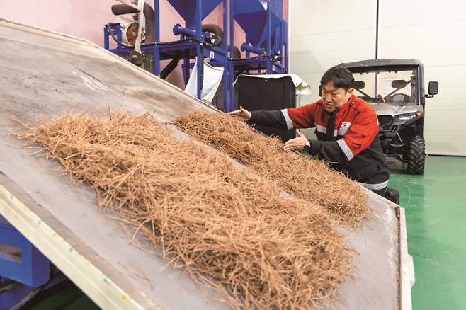 권춘근 국립산림과학원 산불연구과 연구사가 산불지연제를 뿌린 영역을 손으로 표시하고 있다. 과학동아 제공