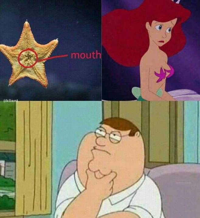 5b0fd8b3a6ffe2be8e20e749a47902a44cee8f958c390c60c5fc1fbef83ea133.jpg 인어공주 브래지어의 비밀.jpg