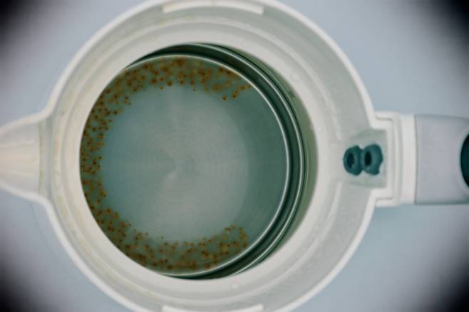 전기포트 물때를 제거하려면 식초나 구연산을 사용하면 된다./사진=게티이미지뱅크