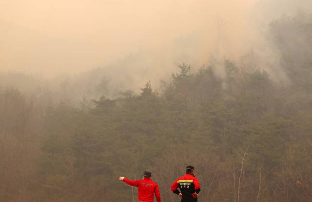▲ 26일 경북 안동시 임동면 갈전리 야산이 불에 타며 연기가 피어 오르고 있다. 연합뉴스