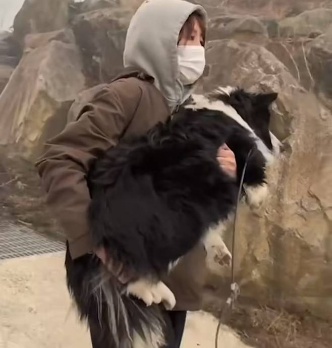 23일 경북 산청의 산불 피해 현장에서 목줄에 묶여 있던 개를 구조하는 모습 [사진출처 = 위액트 인스타그램]