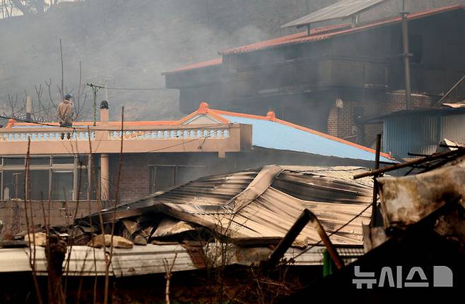 [영덕=뉴시스] 이무열 기자 = 26일 경북 영덕군 영덕읍 화수리에서 한 주민이 산불로 전소돼 집을 바라보고 있다. 2025.03.26. lmy@newsis.com