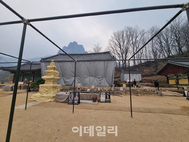 청송 대전사 방염포 작업(사진=국가유산청)