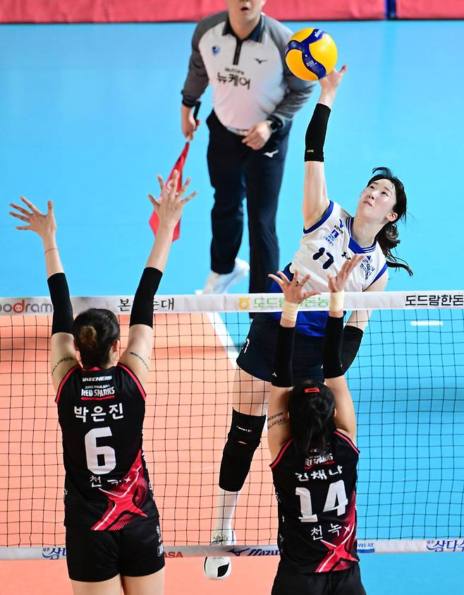 제공 | 한국배구연맹