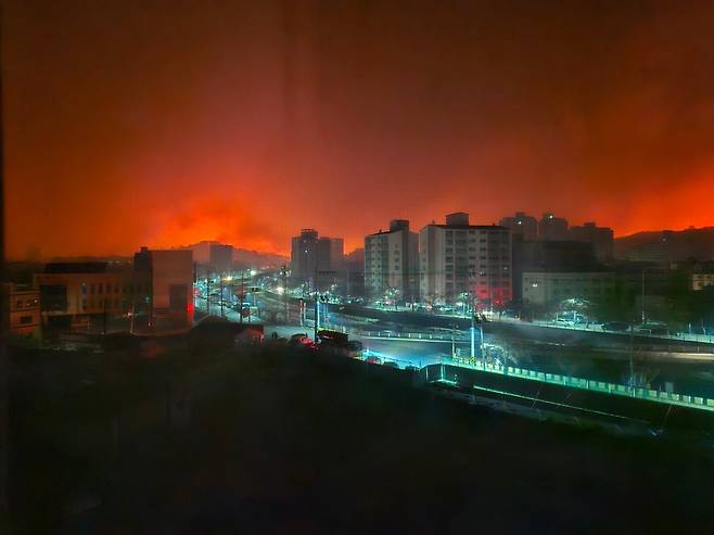 26일 오전 영덕군 뒤편 산이 불타고 있다./뉴스1