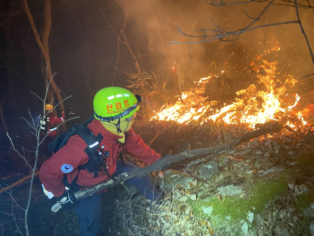 산불진화대원이 지난 26일 밤 산청에서 발생한 산불을 진화하고 있다.ⓒ산림청 제공
