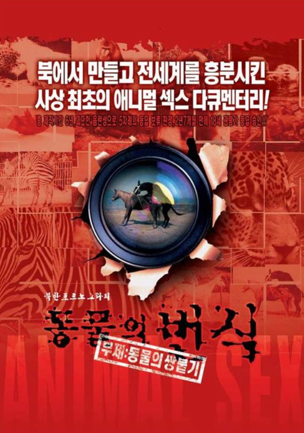 24b0d121e09c28a8699fe8b115ef046c61f62a4c95ee