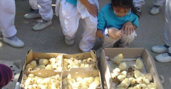 90년대 그 시절 가을운동회.jpg