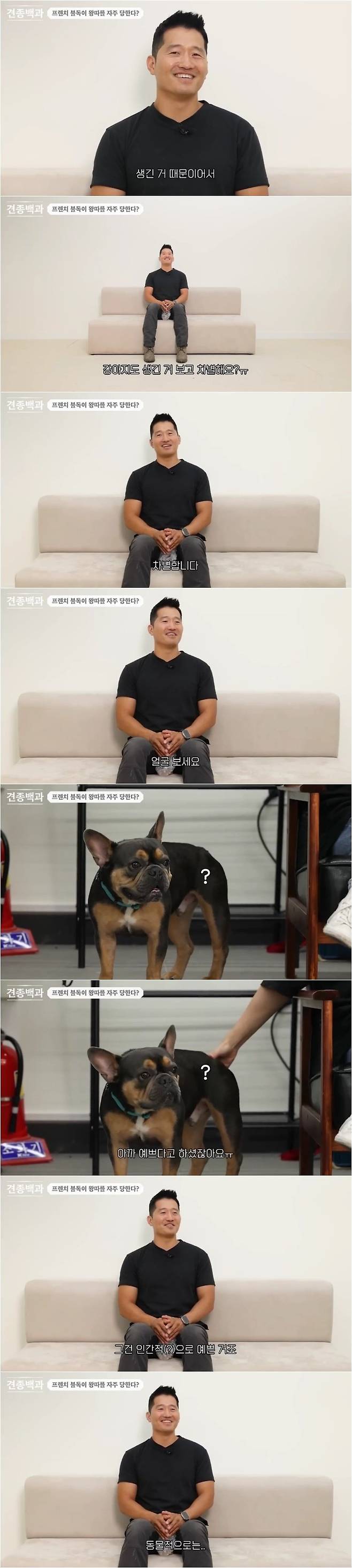 2.jpg 프렌치 불독이 왕따를 자주 당하는 이유.jpg