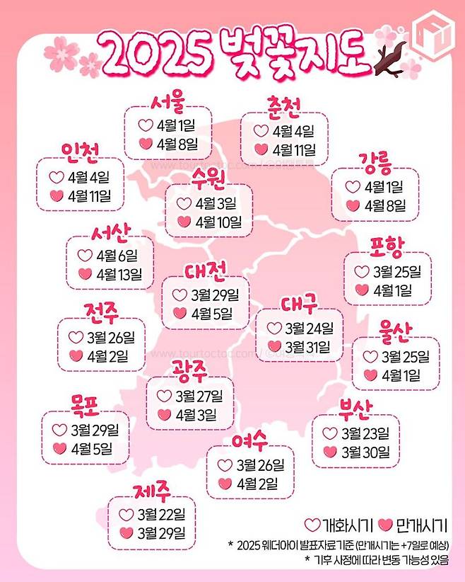 2025 벚꽃 개화 및 만개 시기. 여행톡톡 제공
