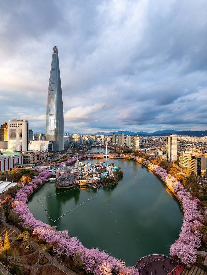 지난해 벚꽃이 만개한 석촌호수와 롯데월드 매직아일랜드. 사진=뉴시스