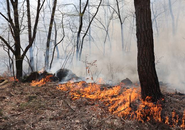 ▲ 울산시 울주군 온양읍 산불 닷새째인 26일 불길이 산림을 태우고 있다. 연합뉴스