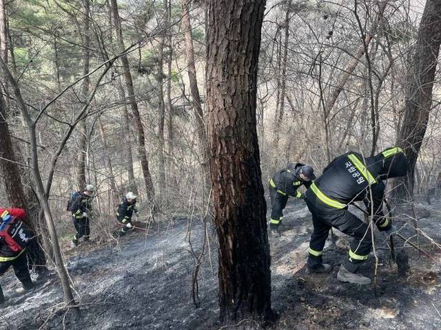 ▲ 지리산국립공원 경남사무소 직원이 지난 26일 경남 하동군 옥종면에서 잔불 진화 작업을 벌이고 있다. 경남사무소 제공.
