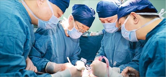 중국 공군의대 시징병원 연구진이 면역 거부반응이 없도록 유전자를 편집한 돼지의 간을 뇌사자에게 이식하고 있다.  /중국 공군의대 제공
