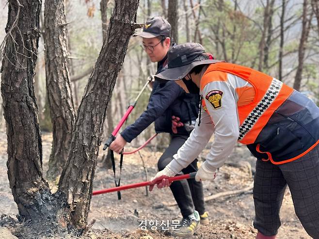경북 의성군 안사면 안사리의 한 야산에서 27일 오전 김영숙씨(오른쪽)가 그의 아들과 함께 잔불을 끄고 있다. 백경열 기자
