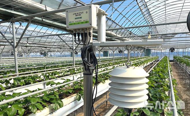 [나주=뉴시스] 나주시 지원으로 구축된 청년농업인 스마트팜 자립기반 시스템. (사진=나주시 제공) photo@newsis.com *재판매 및 DB 금지