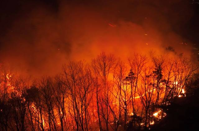 경북 의성에서 시작된 산불이 확산되며 피해가 이어진 26일 경북 의성군 옥산면 신계2리 기룡산에서 산불이 민가 방향으로 번지고 있다. 의성=조태형 기자