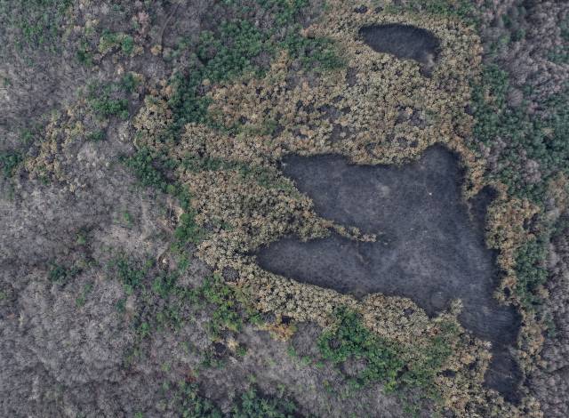 27일 경북 지역에서 6일째 번지고 있는 산불의 최초 발화 지점인 의성군 안평면 괴산리 한 묘소 인근에 폴리스라인이 설치된 가운데 주변 산림이 폐허가 된 모습을 보이고 있다. 연합뉴스