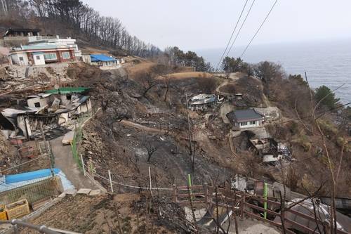 영덕군 영덕읍 석리 산불 피해 현장 [촬영 손대성]