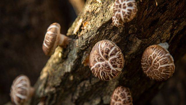 비오틴은 모발, 피부, 손톱 건강 유지에 중요한 역할을 한다 | 출처: 클립아트코리아