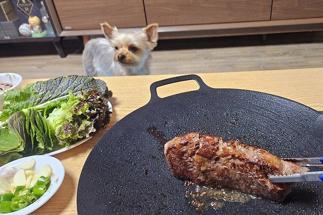 20250327_212925.jpg 한우구이에 두릅 해서 한잔