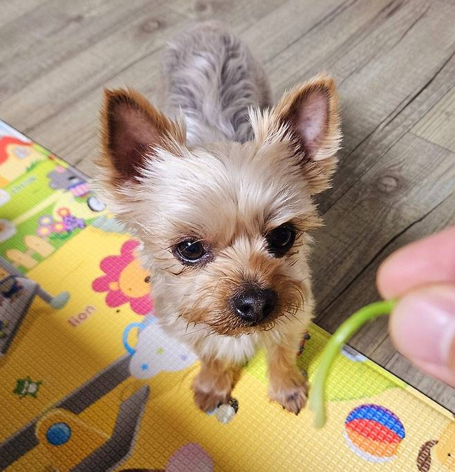 20250327_213953.jpg 한우구이에 두릅 해서 한잔