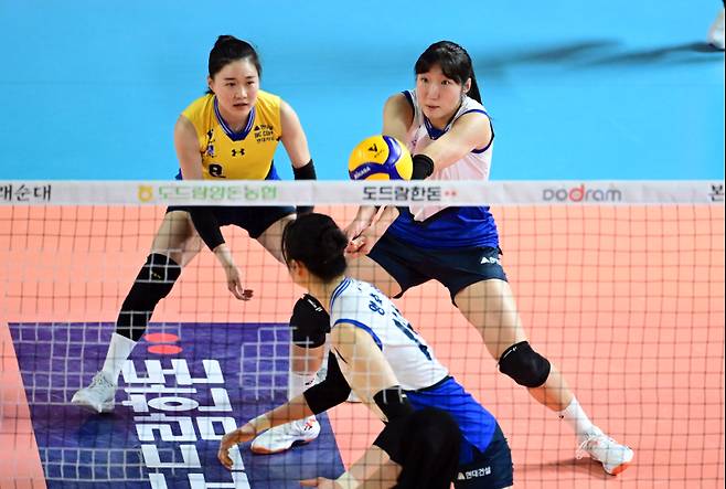 현대건설 정지윤. KOVO 제공&nbsp;