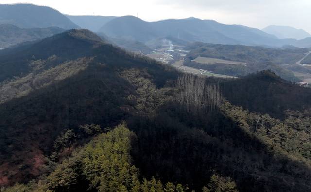 ▲ 28일 경북 청송군 파천면 신기리 일대 야산이 불에 타 그을려 있다. 연합뉴스