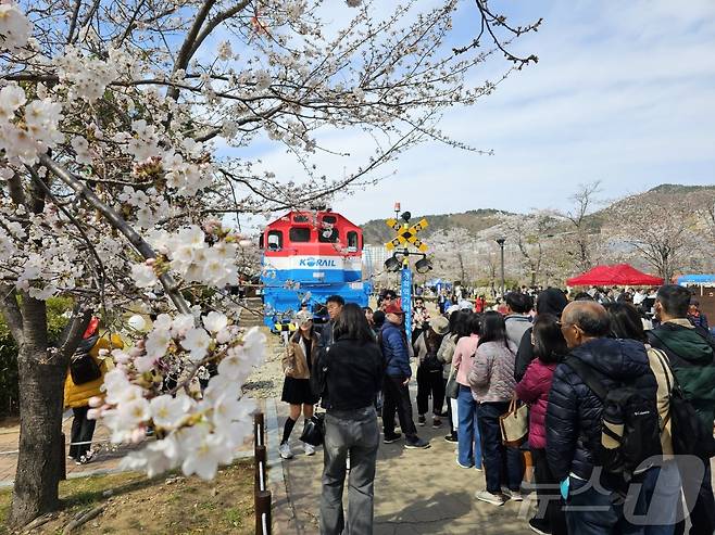 29일 오전 창원시 진해구 경화동 경화역이 군항제를 찾은 상춘객으로 북적거리고 있다. ⓒ 뉴스1 박민석 기자