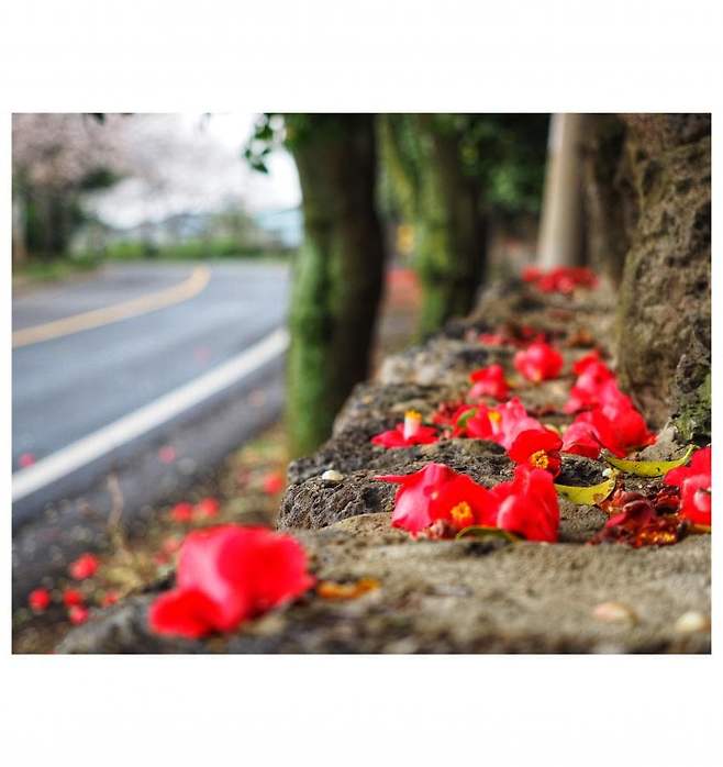 06bcdb27eae639aa658084e54484746e3d6c9c5240e8428dd7d2478c06151da21c3de169e23952659ee49c9d1fb4f626