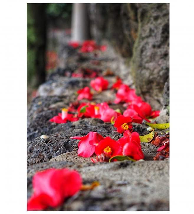 06bcdb27eae639aa658084e54484746e3d6c9c5240e8428dd7d2478c061616a26c343389f791346be6eb74715b3d7c2e