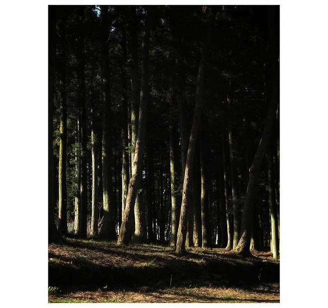 06bcdb27eae639aa658084e54484746e3d6c9c5240e8428fd1dd458e06141da2c5c29cb1039c6a95965d4503771fba83