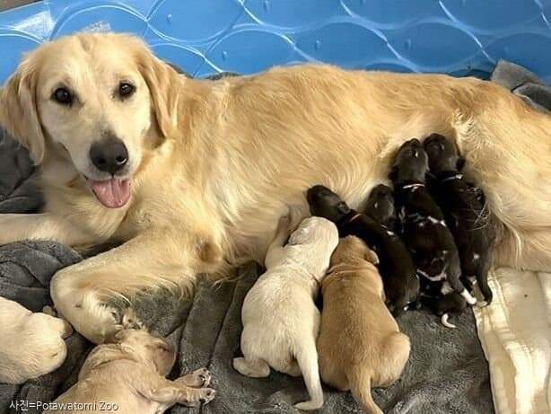 24b0d121e09f39ff68e8d2b44182696cc784ee93c1e979d4df4a618809edac83fa4adf9a080eaf2e8baa4a7f84b87f71bb7fbfcc29beef9d94