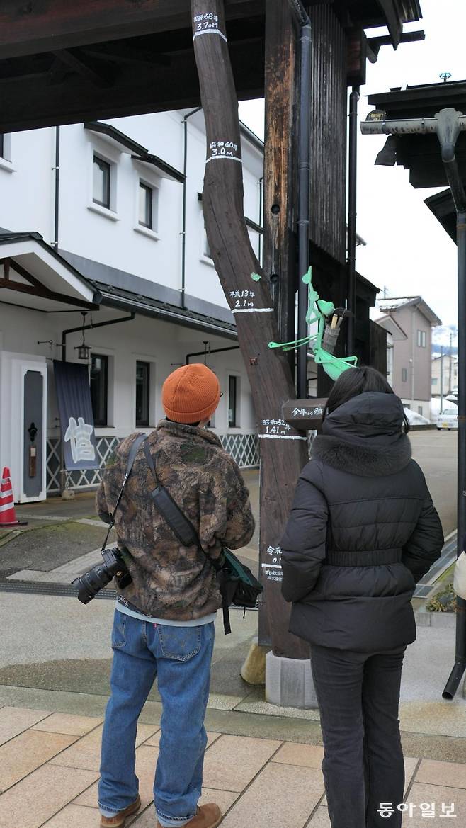 니가타현 역참마을 보쿠시도리의 한 해 적설량을 예측하는 사마귀 모형.  미나미우오누마시 역참마을 보쿠시도리의 한 해 적설량을 측정하는 사마귀와 나무.